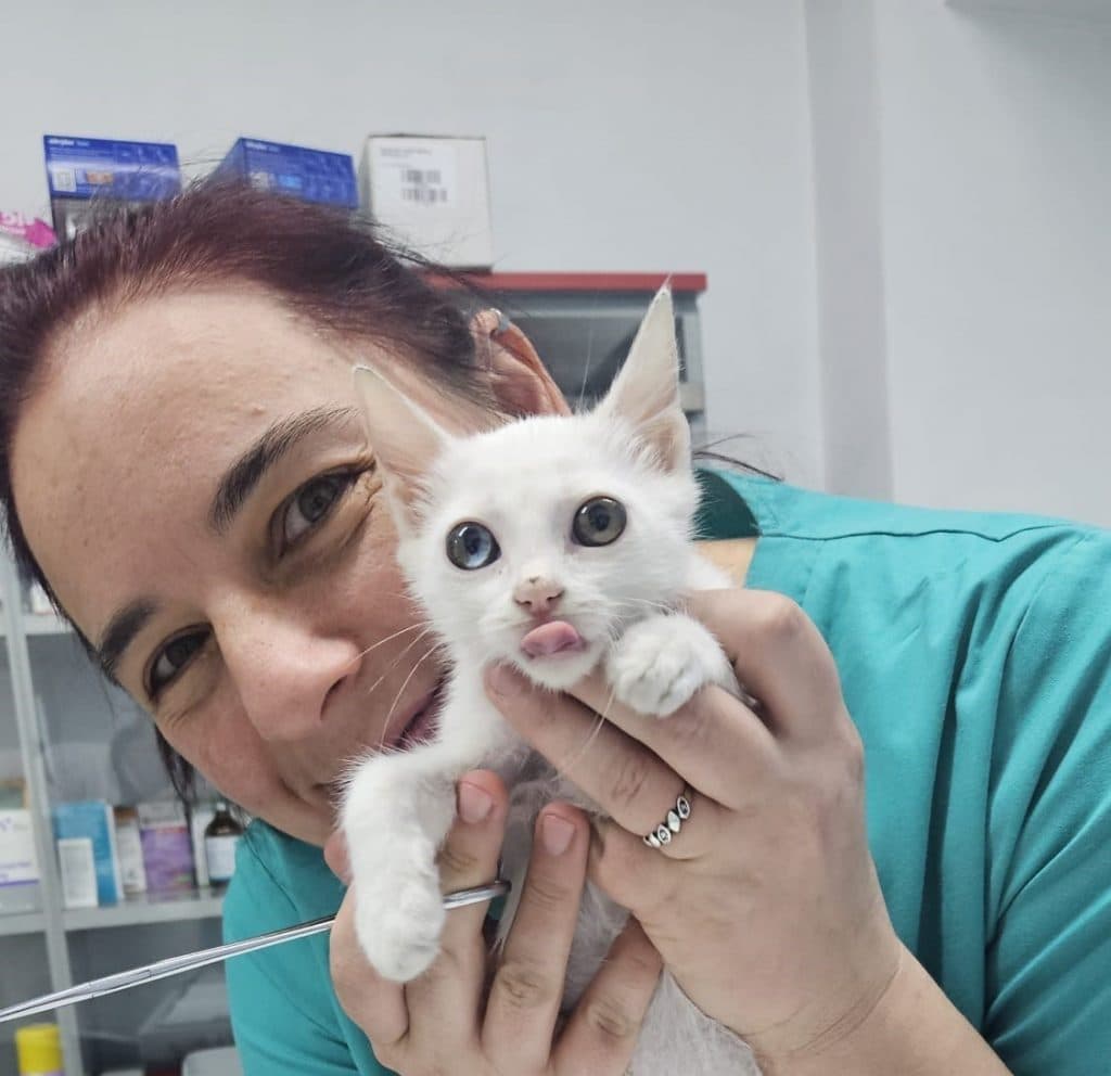 Dr. Lelia Budai